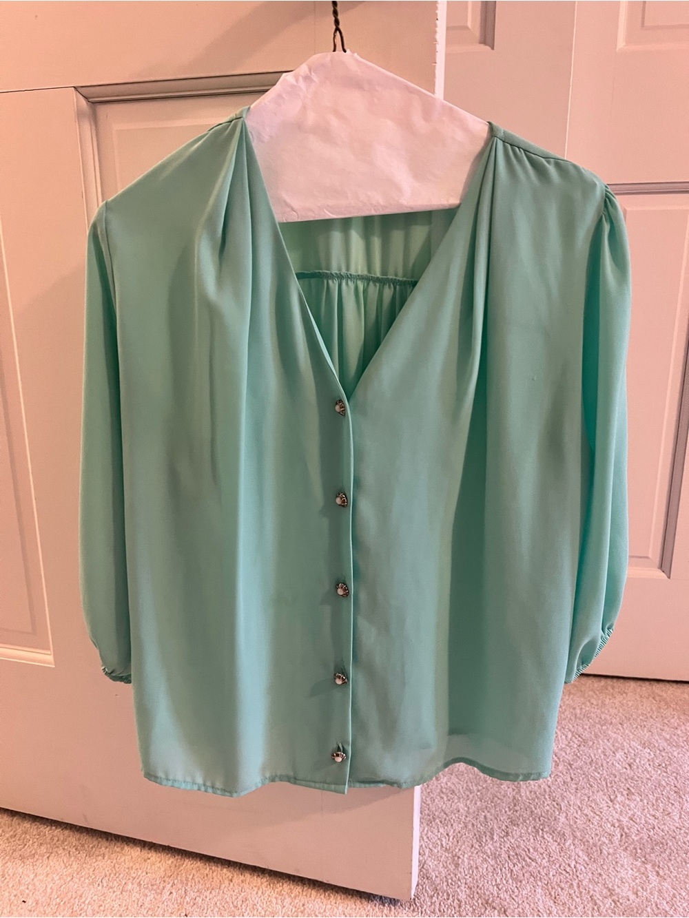 Everly Mint Green V-Neck Button-Front Blouse